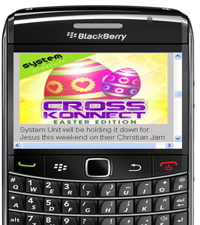 Black Berry Phone