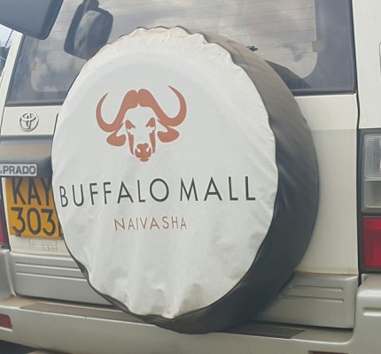 buffalo mall